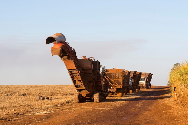 Sugar cane truck on the road