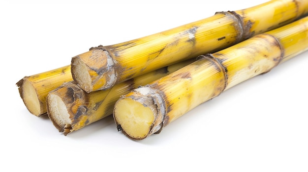 Sugar cane on white background