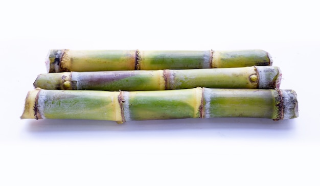 Sugar cane on white background.