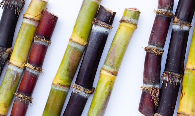 Canna da zucchero su sfondo bianco.