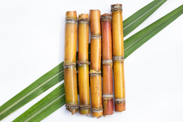 Sugar cane on white background