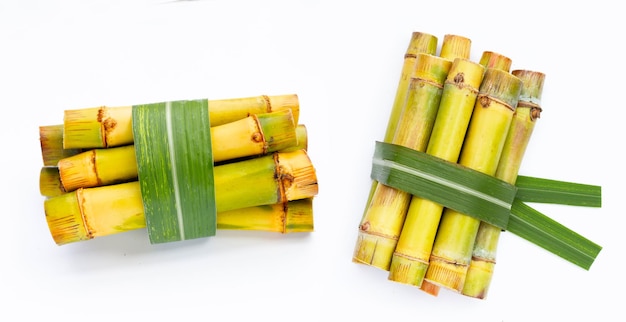 Sugar cane on white background