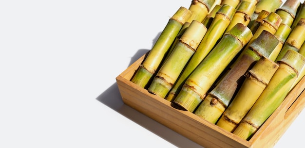 Sugar cane on white background