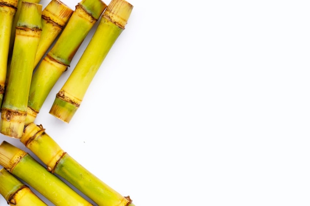 Sugar cane on white background