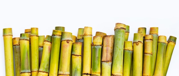 Sugar cane on white background