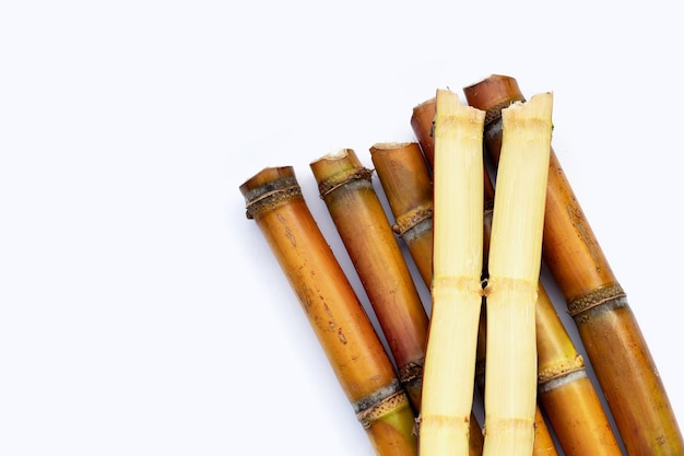 Sugar cane on white background