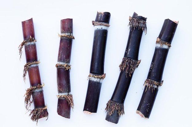 Photo sugar cane on white background