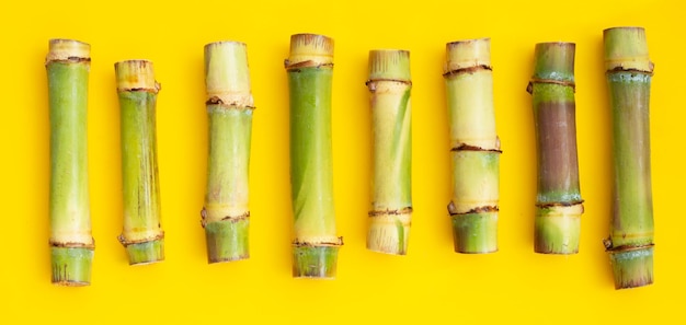 Sugar cane on yellow background