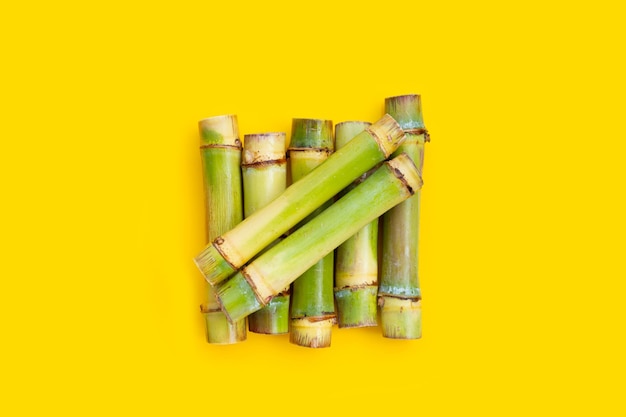 Sugar cane on yellow background