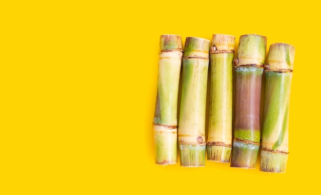 Sugar cane on yellow background