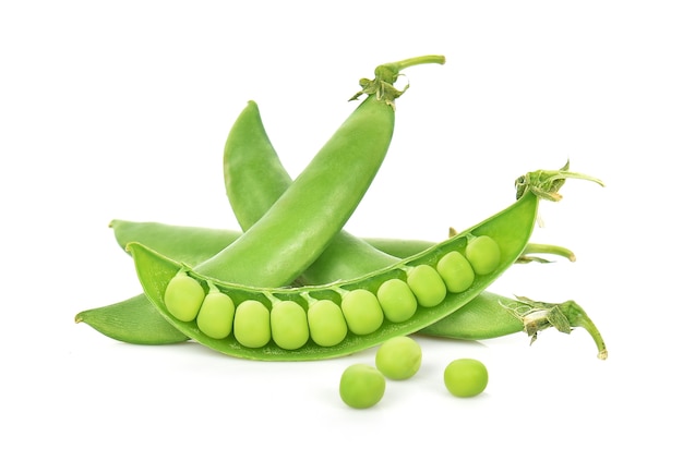 Sugar Pea isolated on white background