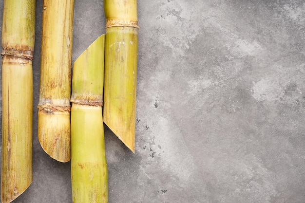 Sugarcane on a gray background with space for text flat lay