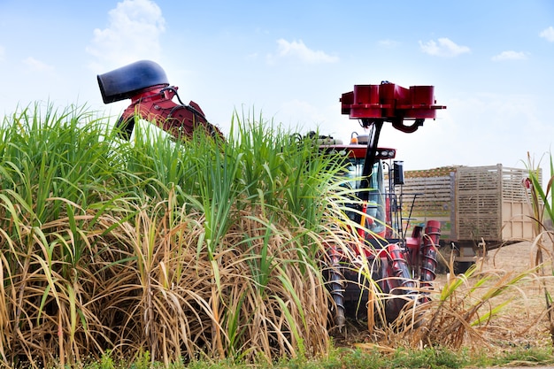 Sugarcane harvester machine