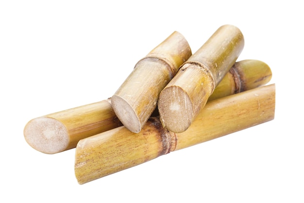 Sugarcane isolated on white background closeup