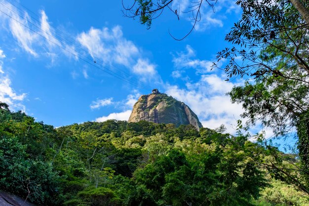 Sugarloaf Mountain seen through the rainforest vegetation on the hills of Rio de Janeiro Brazil