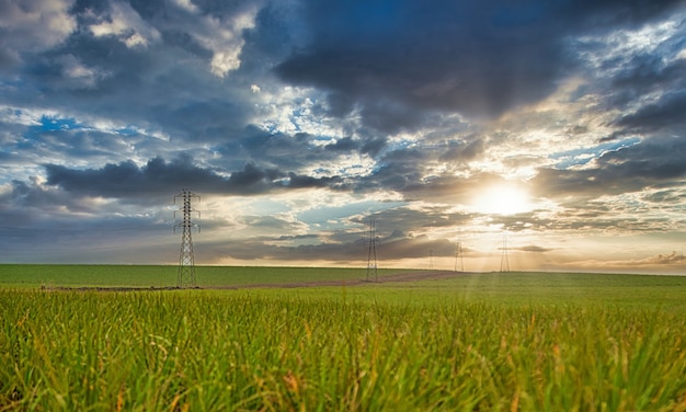 Suikerriet plantage zonsondergang