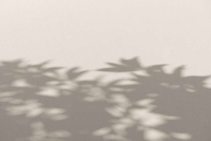 Photo 自然をテーマにした背景に適しています 環境に優しいデザインとクリエイティブなコンポジションに最適です