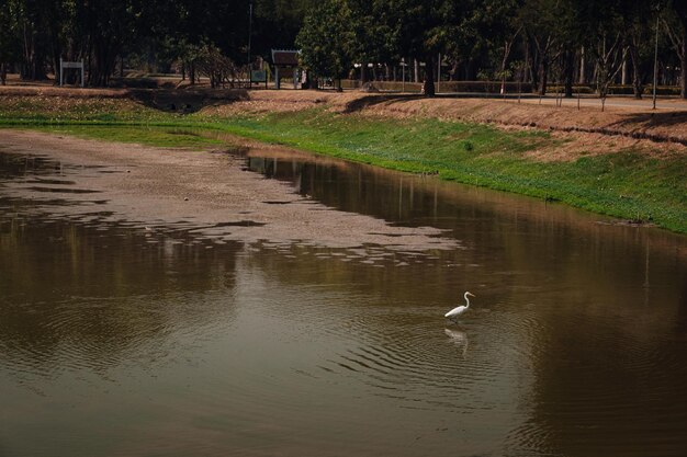 スコータイ歴史公園タイのユネスコ世界遺産