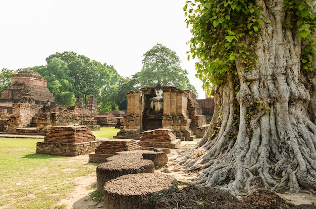 Foto parco storico di sukhothai