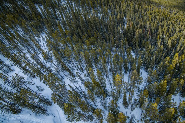 Sulpher Mountain in Banff, Alberta in Canada