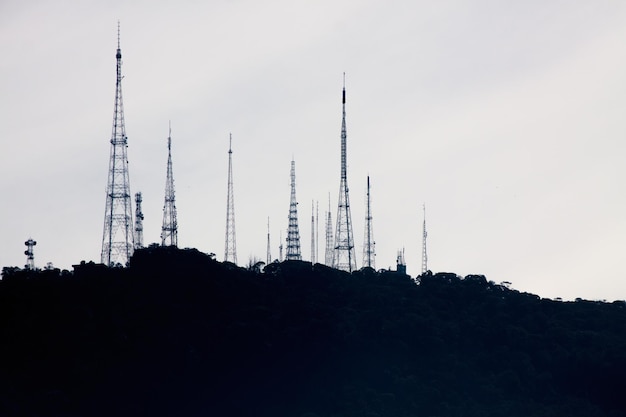 Photo sumare antennae in the tijuca national park in rio de janeiro brazil