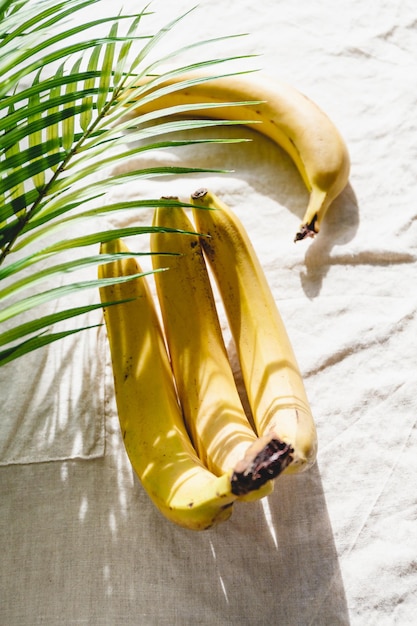 Photo summer abstract composition with bananas and palm leaf