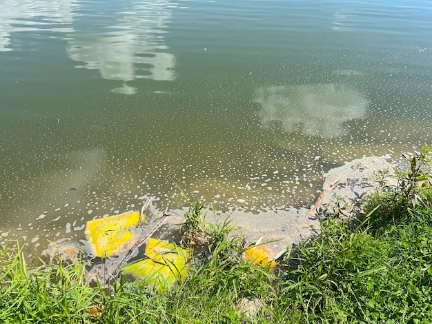 Summer Algal Blooms Exploring Water Contamination and Environmental Impact Global environmental pollution problem caused by chemicals and industries Bad ecology Polluted water
