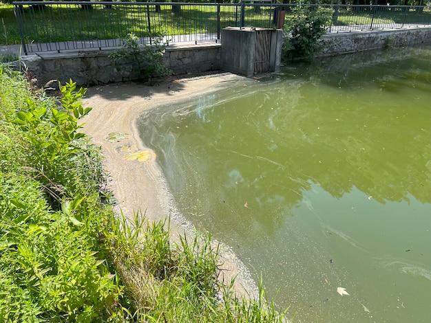 Летнее цветение водорослей Исследование загрязнения воды и воздействия на окружающую среду Глобальная проблема загрязнения окружающей среды, вызванная химическими веществами и промышленностью Плохая экология Загрязненная вода