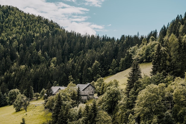 森の空き地に高い山と農場がある夏の高山田園風景 Logar 渓谷 Logarska Dolina パノラマ道路 Solcava スロベニアから