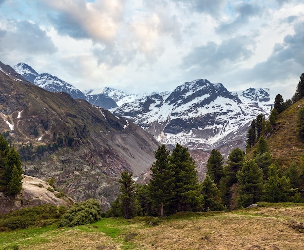 Summer Alps mountain landscape Austria