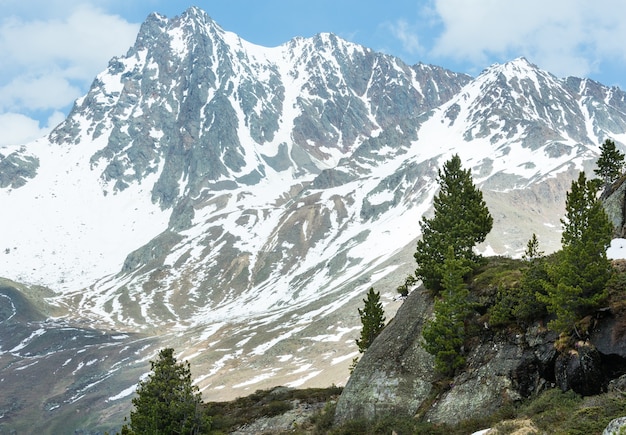 Summer Alps mountain landscape (Austria).