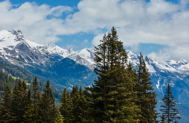 Summer Alps mountain landscape with fir forest on slope and snow covered rocky tops in far, Austria.