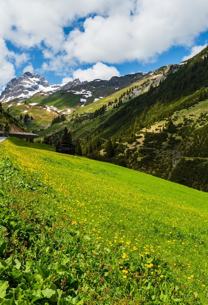 バイバーコフ山（ワース、フォアアールベルク、オーストリア）への夏のアルプスの山の景色。