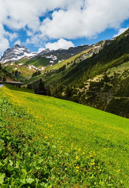 Summer Alps mountain view to Biberkopf mount (Warth, Vorarlberg, Austria).