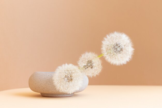 Summer backgrond Dandelion Ikebana