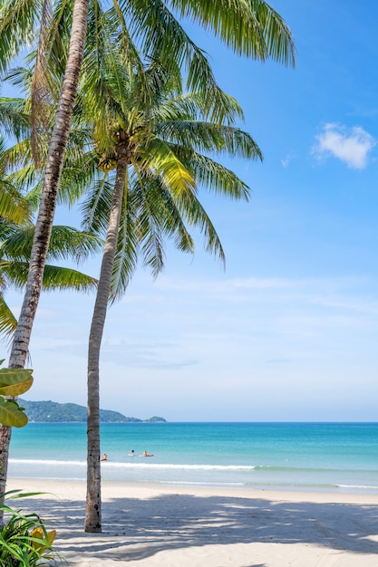 Estate sfondo di palme da cocco sulla spiaggia di sabbia bianca vista della natura del paesaggio baia romantica dell'oceano con acqua blu e cielo azzurro sopra il mare all'isola di phuket thailandia.