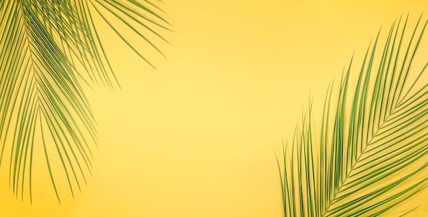 Summer background of palm leaves on yellow background