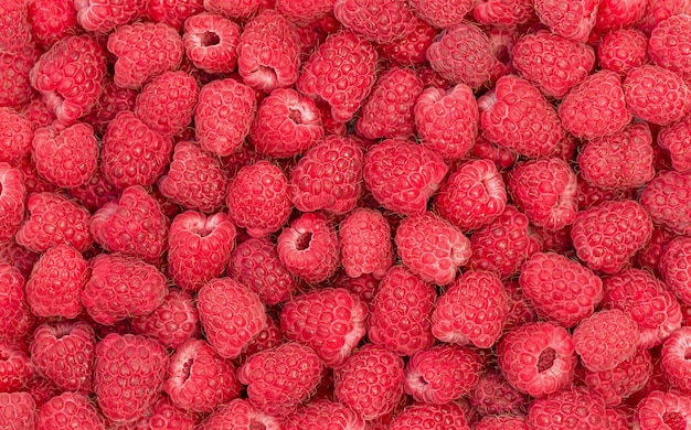 Summer background of red ripe raspberry  top view