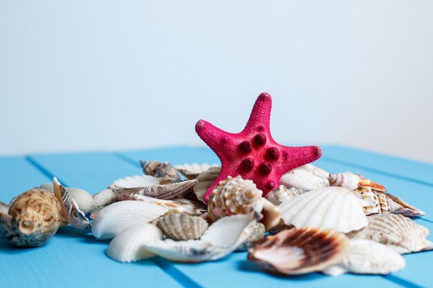 Summer background , seashells on blue wooden background