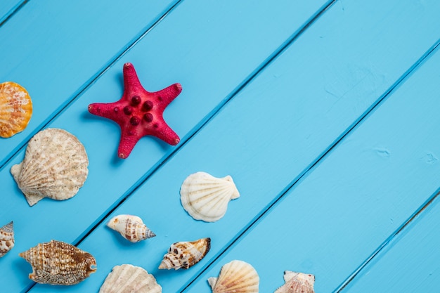 Summer background , Seashells on blue wooden background