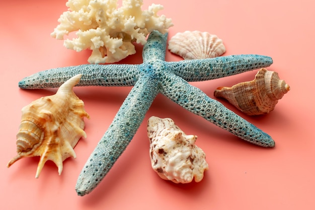 Summer background of starfish, shells, coral on pink background