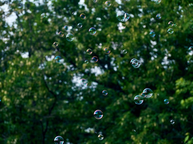 Summer background with bright soap bubbles.