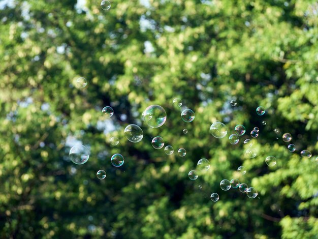 Summer background with bright soap bubbles