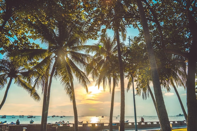 Летний фон с кокосовыми пальмами и теплыми тонами заката Вид с воздуха на город Вунгтау с красивым закатом и пальмами Вунгтау является столицей провинции с момента основания провинции39