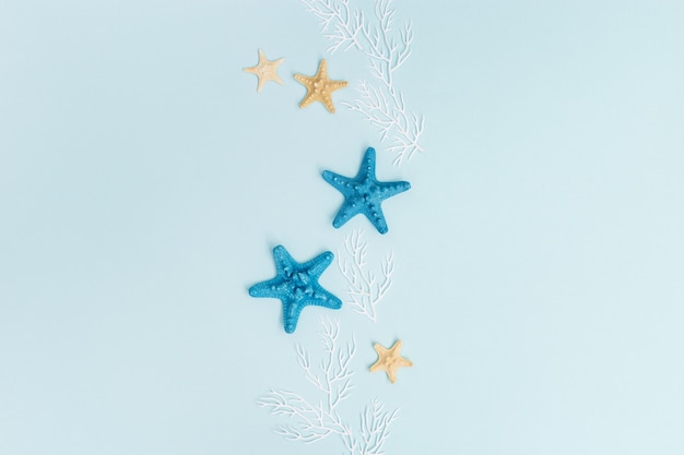 Summer background with colorful seastar and white coral