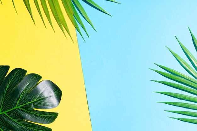 Summer background with leaf on yellow and blue background