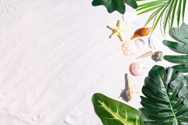 Summer background with leaves on the sand