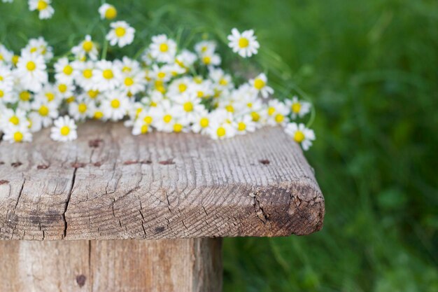 草とカモミールの花の花束の古い木製のベンチと夏の背景