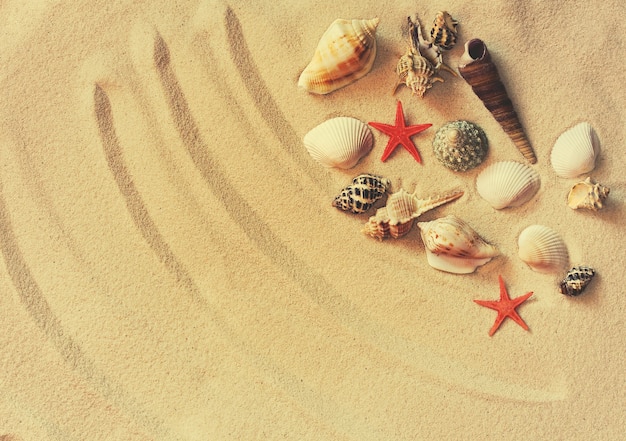 Летний фон с морским песком и ракушками