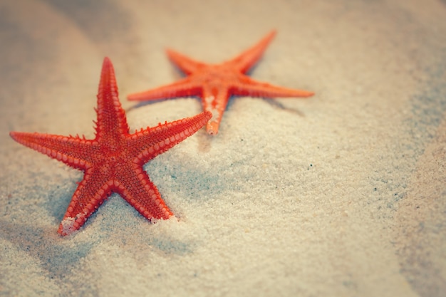 Летний фон с морским песком и морскими звездами